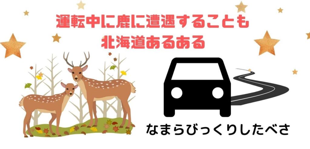 鹿と車