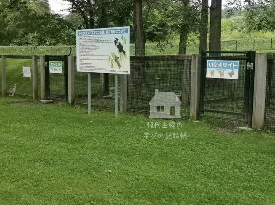 沙流川キャンプ場の小型犬サイト